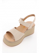 EV36275-02-3APP. Фото №3