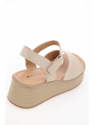 EV36275-02-3APP. Фото №6