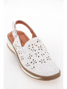 EV36361-01-12KKK. Фото №2