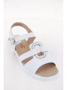 EV36361-02-12APP. Фото №2