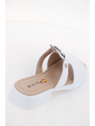 EV36361-03-12APP. Фото №6