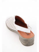 EV36362-01-12KKK. Фото №5