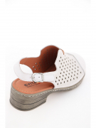 EV36362-01-12KKK. Фото №6