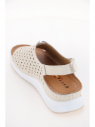 EV36380-02-11APK. Фото №5