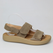 EV36432L-02-29VPP. Фото №1