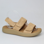 EV36432L-02-3VPP. Фото №1